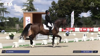 Grand National FFE - AC Print - Dressage  | Cluny (FRA) | Danielle OLIVEIRA | QSAAR DE VILLEMAGNE