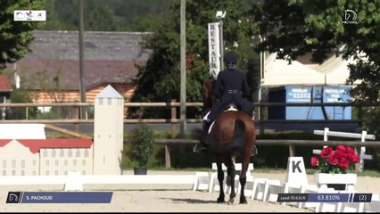 Grand National FFE - AC Print - Dressage  | Cluny (FRA) | Severine PACHOUD | DESPERADO