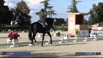 Grand National FFE - AC Print - Dressage  | Cluny (FRA) | Corentin POTTIER | GOTILAS DU FEUILLARD