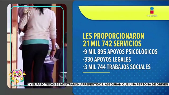 10 felinos del refugio Black Jaguar-White Tiger están a la espera de su traslado