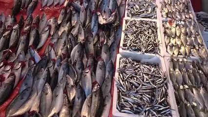 Karadeniz hamsisi tezgahlarda yerini aldı