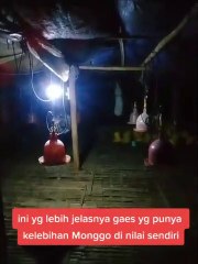 penampakan hantu pocong