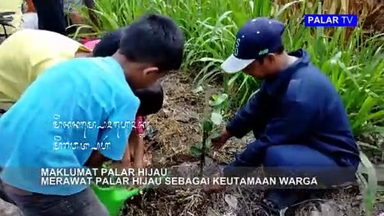 Maklumat Palar Hijau 2019