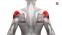 Rear Delt Raises Build Strong Shoulders | Men’s Health Muscle