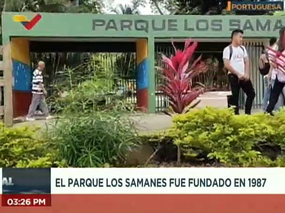 Portuguesa | Desde el parque los samanes honran el árbol donde reposó ...