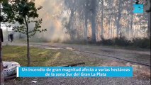Un incendio de gran magnitud afecta a varias hectáreas de la zona Sur del Gran La Plata