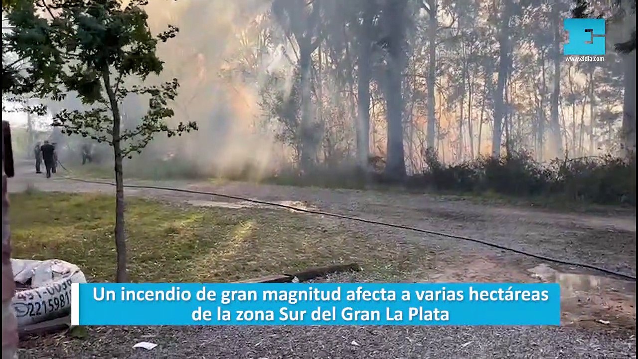 Un incendio de gran magnitud afecta a varias he...
