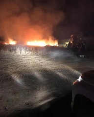HATAY'DA GÖÇMEN KUŞLARIN UĞRAK YERİNDE YANGIN