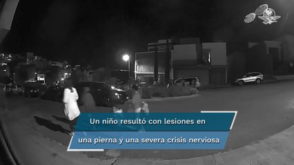¡El Grinch! Soltó a sus perros cuando unos niños fueron a pedir calaverita