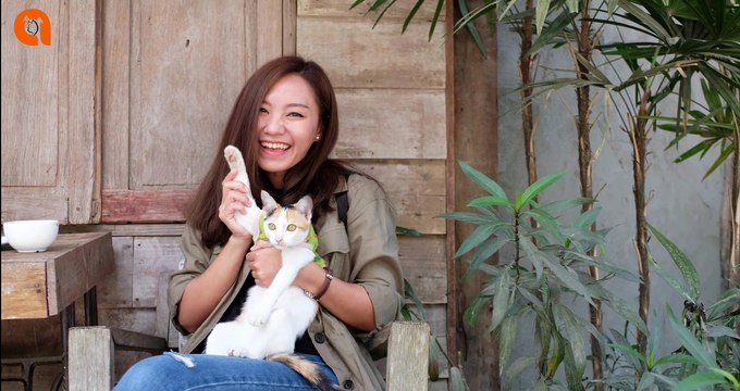 Why Does My Cat Sleep on Me | Top Reasons You Will Love To Know | Why My Cat Sleeps On Top of Me | Animal Vised #catsleep #catsleeponme #animalvised #howcatssleep #catsleepwithme Visit to our Website animalvised.com/ #animalvised