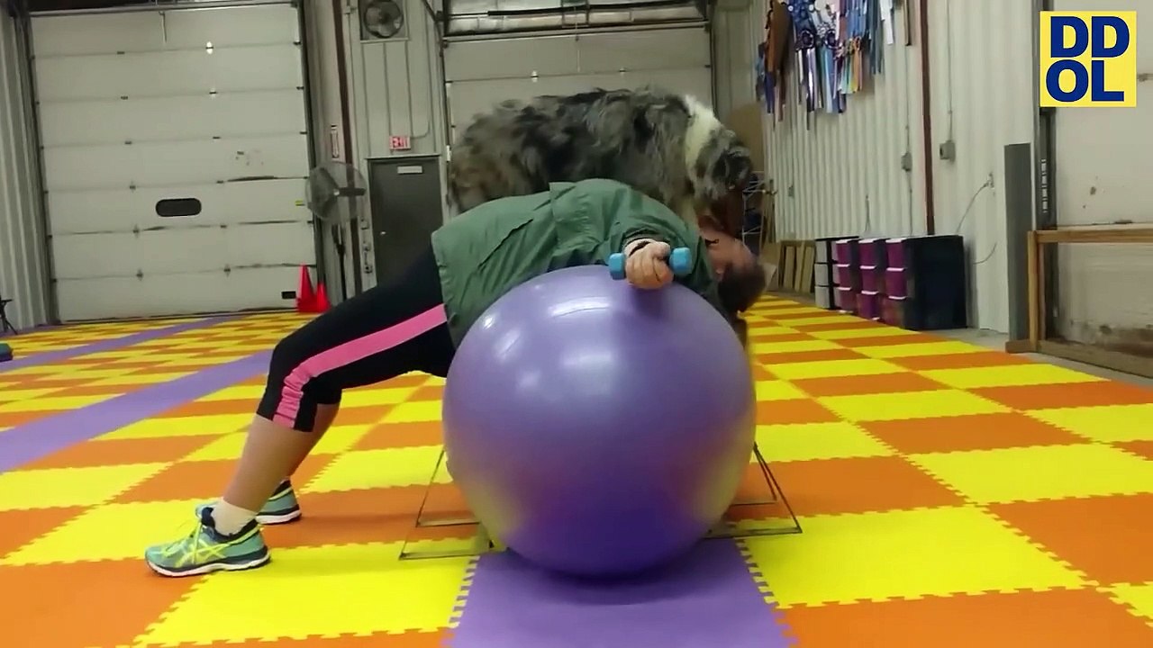 FUNNY ANIMAL VIDEO 2023 (12)