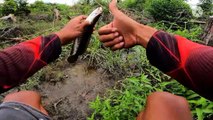 Mancing ikan di hutan gudul yang belum di casting Umpan Karet jadi rebutan ikan