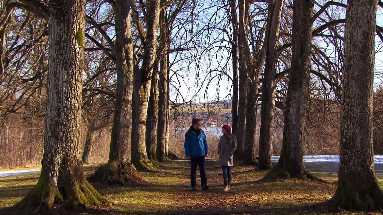 Herzflimmern - Die Klinik am See Staffel 12 Folge 17 HD Deutsch