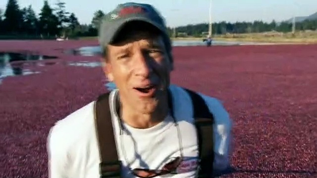 Dirty Jobs - Arbeit, die keiner machen will Staffel 3 Folge 5 HD Deutsch