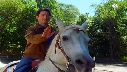 Ed - Der Bowling-Anwalt Staffel 3 Folge 7 HD Deutsch