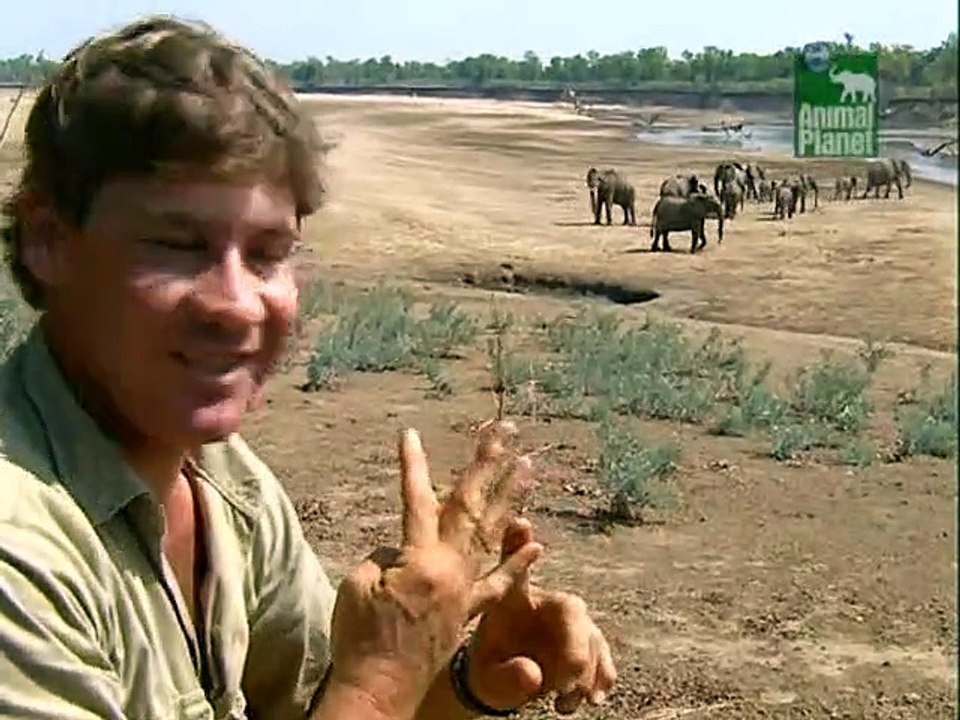 Crocodile Hunter Staffel 1 Folge 1 HD Deutsch