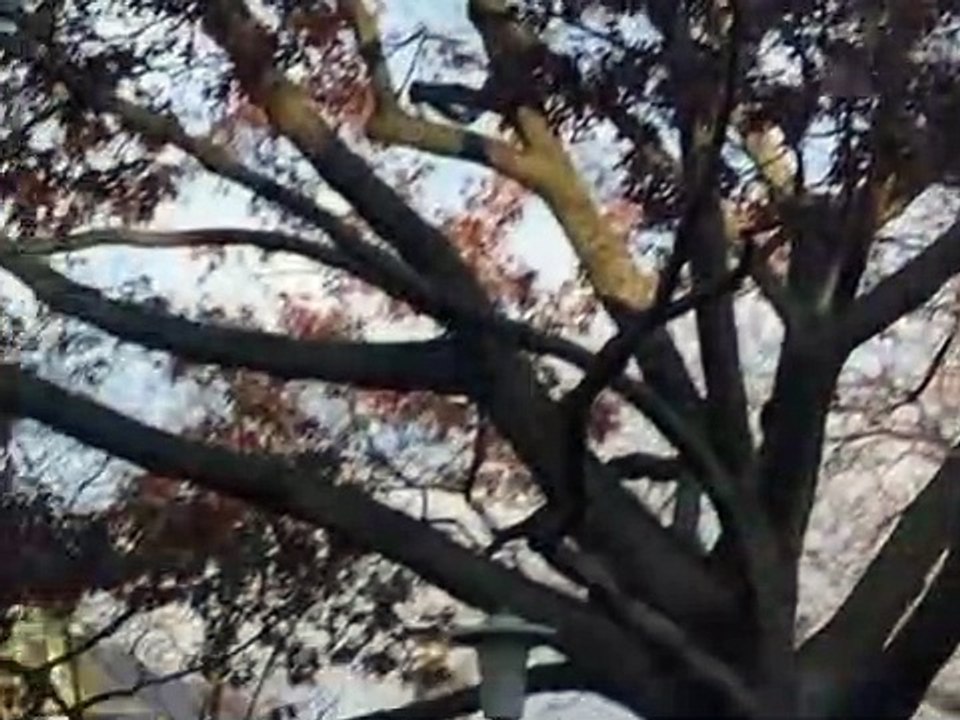 Hack - Die StraßenPhiladelphia Staffel 1 Folge 13 HD Deutsch