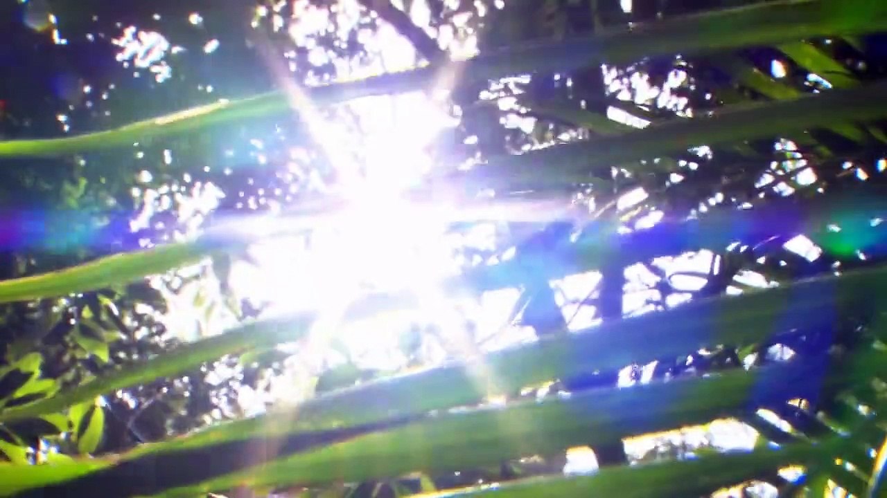 M.O.M. Die neue Datingshow Staffel 2 Folge 11 HD Deutsch