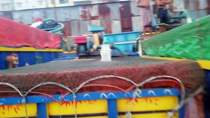 Amazing Fish Processing Vehicles