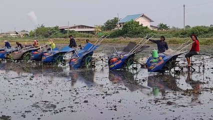 Field Tractors Competition  | Part 01