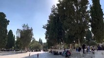 Masjid Al Aqsa From Israel Jerusalem