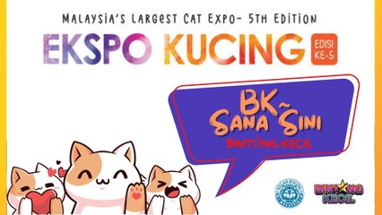 Ekspo Kucing Terbesar di Malaysia Edisi Ke-5 | BK Sana Sini | BINTANG KECIL