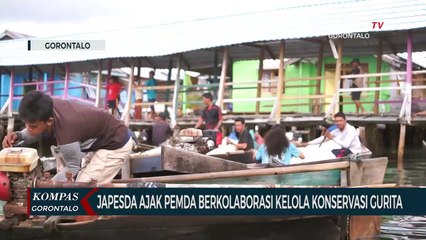 Japesda Ajak Pemda Berkolaborasi Kelola Konservasi Gurita