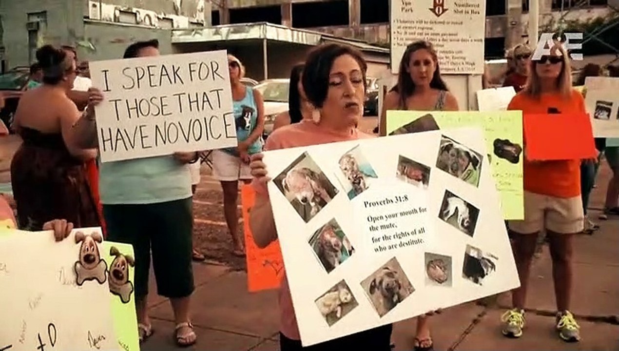 Deep Undercover Staffel 1 Folge 28 HD Deutsch