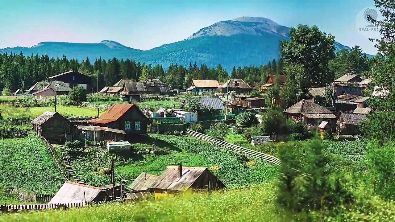 The girl didn’t understand who saved her in the forest. Dog_ Wolf_ Or forest spirit_ Mystical story