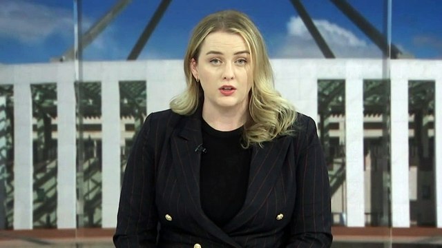 Ed Husic labels gas companies ‘tone deaf’ and greedy