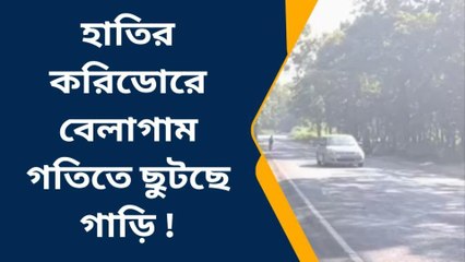 ঝাড়গ্রাম : হাতির করিডোরে বেলাগাম গতিতে ছুটছে গাড়ি !