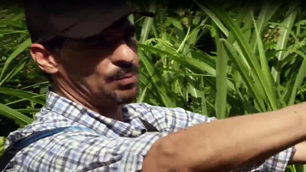 Yamashitas Gold - Der Fluch des Pazifiks Staffel 1 Folge 5 HD Deutsch