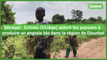 Sénégal - Eclosio, de l'ULiège, aide à produire un engrais bio