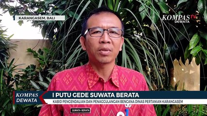 10 Bendungan Jebol, Sawah Terancam Kekurangan Air