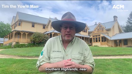 Hillview heritage hotel - Tim the Yowie Man - The Canberra Times - November 4, 2022