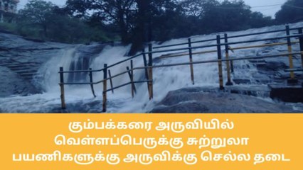 Download Video: பெரியகுளம்: கும்பக்கரை அருவியில் குளிக்க தடை