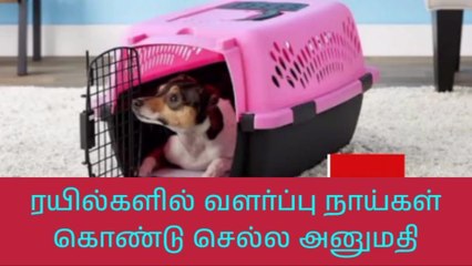 மதுரை:ரயில்களில் வளர்ப்பு நாய்கள் கொண்டு செல்ல அனுமதி !
