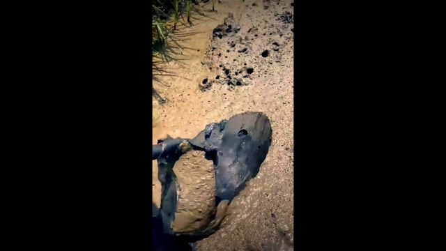 Amazing catching tactics Asian fishing videos How to Catch Eels Easily in a Hole #fishingvideo