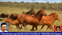 Old Is Gold (evergreen) T M Soundararajan Legend Vol 234 Horse Song 7