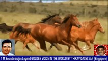 Old Is Gold (evergreen) T M Soundararajan Legend Vol 235 Horse Song 8