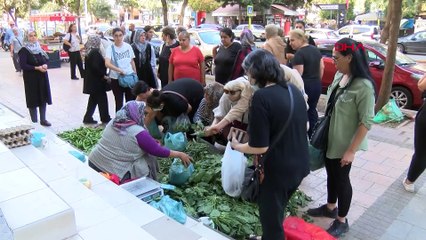 Télécharger la video: Parası ve telefonu çalınan seyyar satıcı kadından alışveriş için kuyruğa girdiler