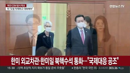 한미외교차관 이어 한미일 북핵수석 통화…"안보리 대응 공조"