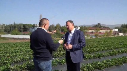 Lütfü Savaş: "Hataylı Çiftçimiz Toprağını Bırakmasın Diye Tüm Uğraşımız"