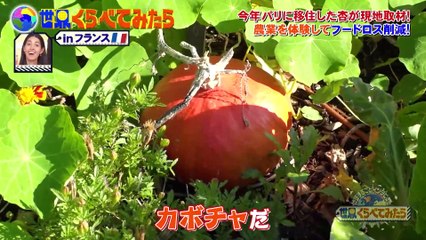 Sekakura Anne in France 02.11.2022