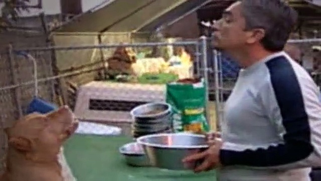 The Dog Whisperer Season 1 Episode 18 Bella And Jordan (Time Bomb! Part 2)
