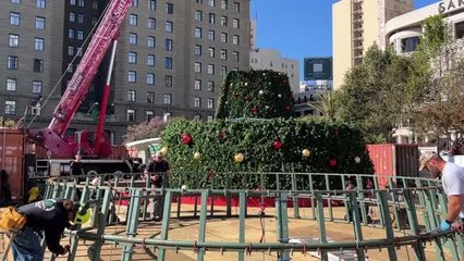 San Francisco'da Noel hazırlıkları başladı