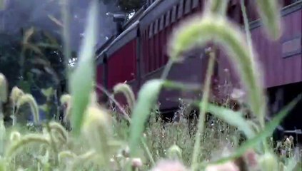 The American Experience - Se33 - Ep04 - American Oz HD Watch HD Deutsch