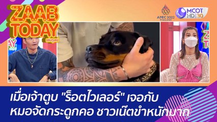 เมื่อเจ้าตูบ "ร็อตไวเลอร์" เจอกับหมอจัดกระดูกคอ ชาวเน๊ตขำหนักมาก : (3 พ.ย. 65) แซ่บทูเดย์