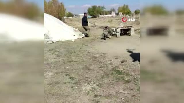 Bitlis'te kuduz paniği: Çocukları yaralayan sokak köpeklerine kuduz aşısı yapıldı