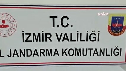İzmir'de jandarmadan tarihi eser kaçakçılığı operasyonu